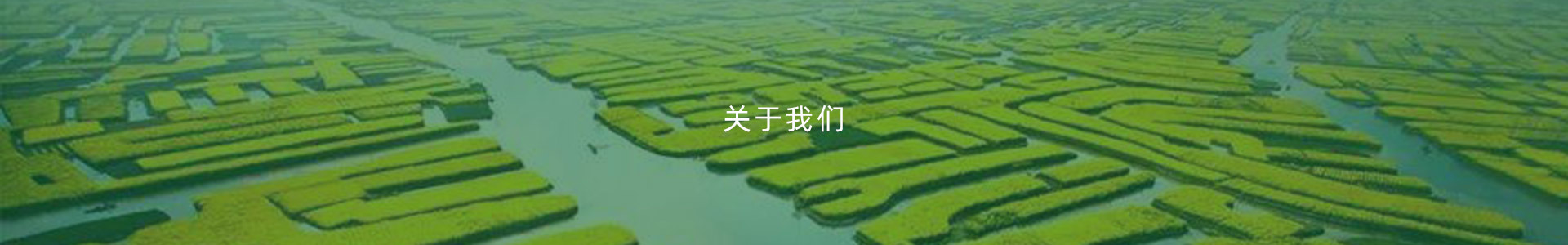 品牌文化